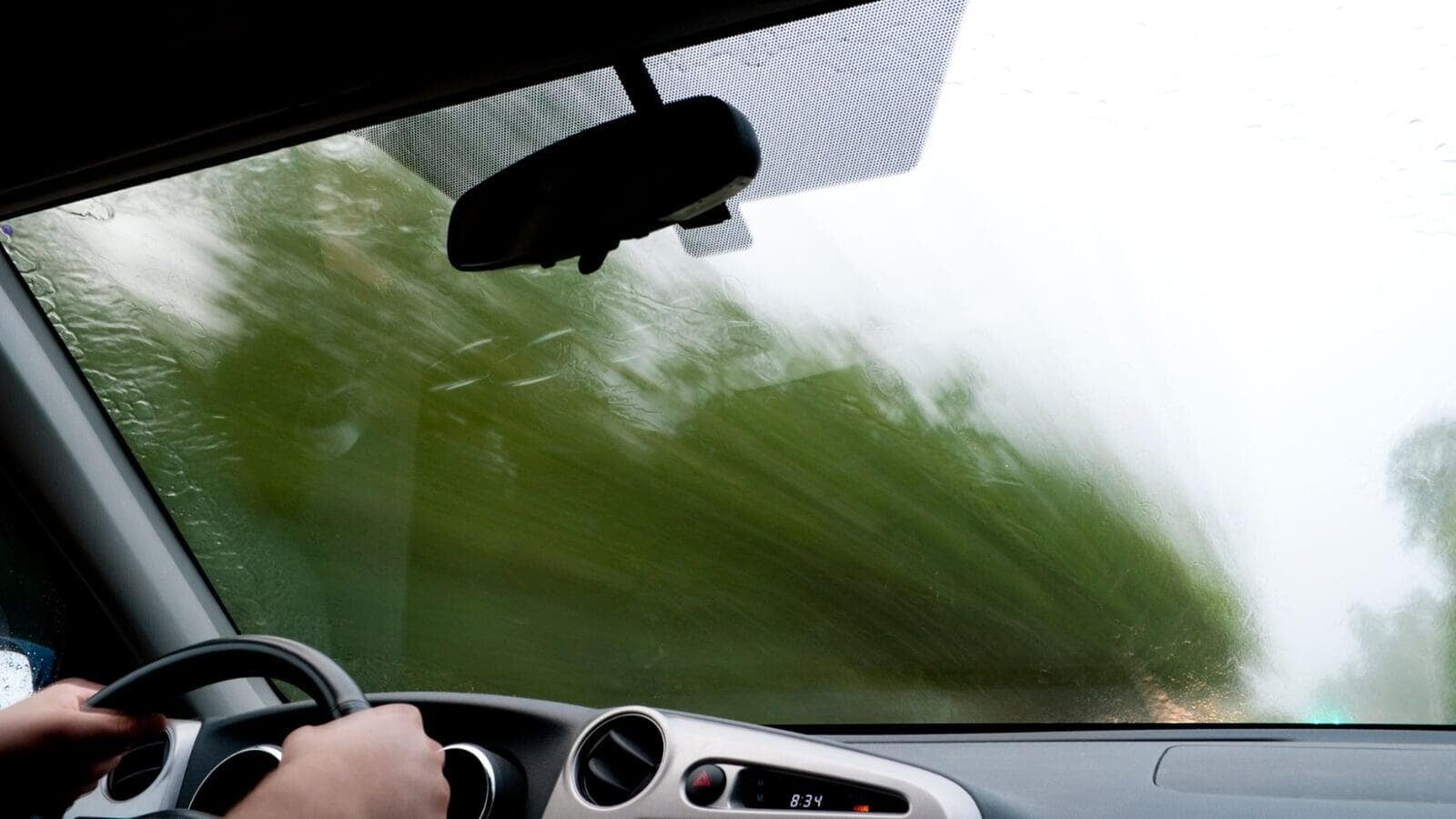 What a Bug on Your Windshield Can Teach You About Mindfulness