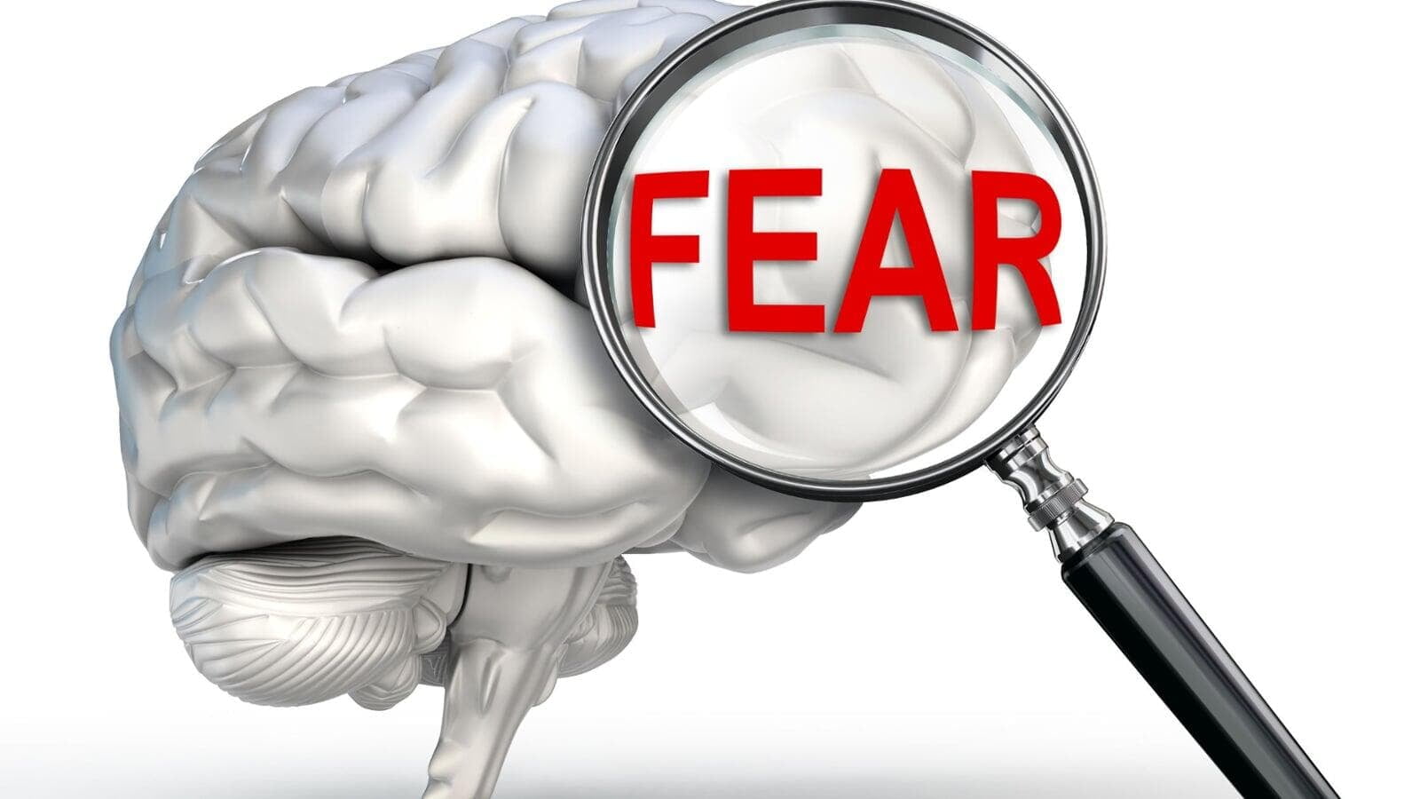 The Brain Science Behind Fear